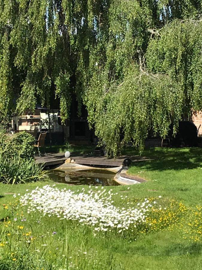 Donautaler Wohlfuehloase Apartment Gundelfingen an der Donau Bagian luar foto