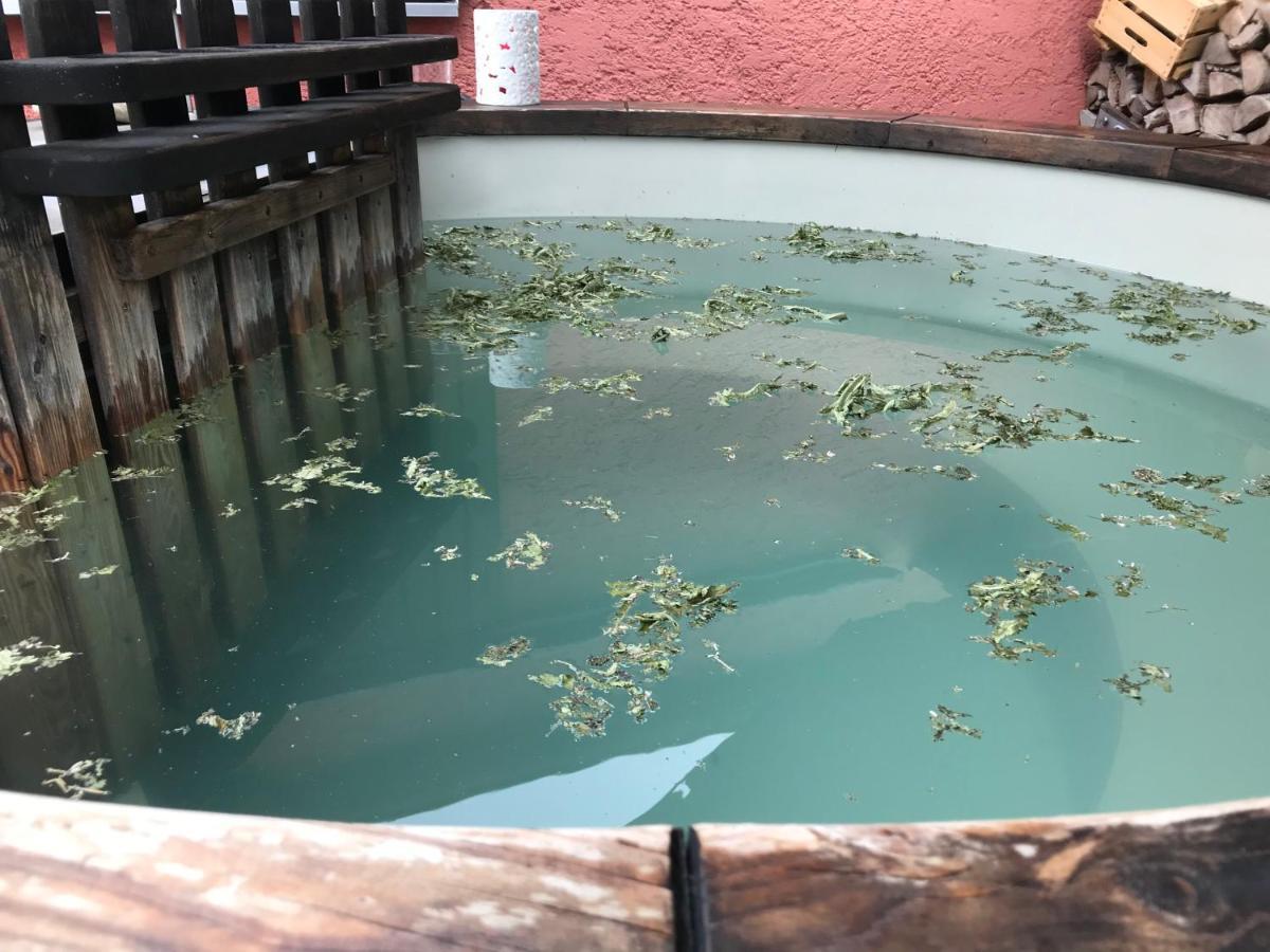 Donautaler Wohlfuehloase Apartment Gundelfingen an der Donau Bagian luar foto